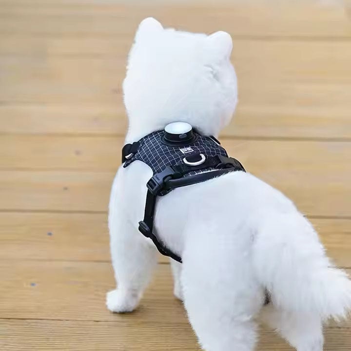 Dogs and Cats Boutique 11 NightBright LED Dog Harness