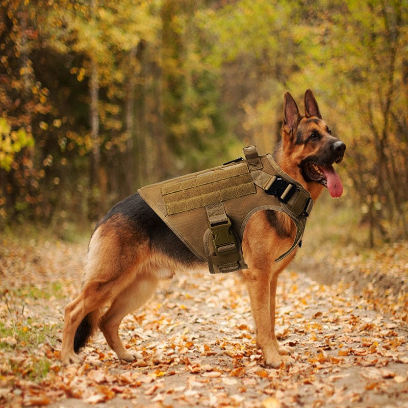 Dogs and Cats Boutique 11 Outdoor Tactical Dog Vest For Large Dogs (To Get Done)