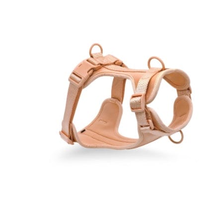 Dogs and Cats Boutique 11 Pink / L / Chest and back Pet Collar Anti-fouling Bite Dog Leash Set Waldonex (To Get Done)