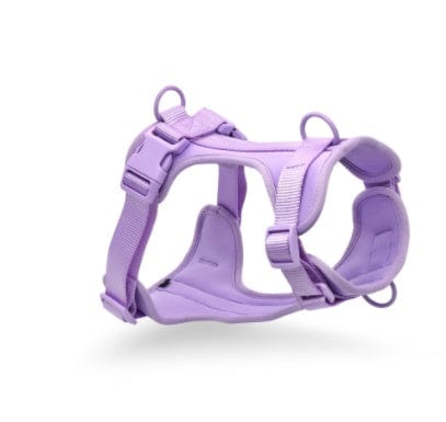 Dogs and Cats Boutique 11 Purple / L / Chest and back Pet Collar Anti-fouling Bite Dog Leash Set Waldonex (To Get Done)