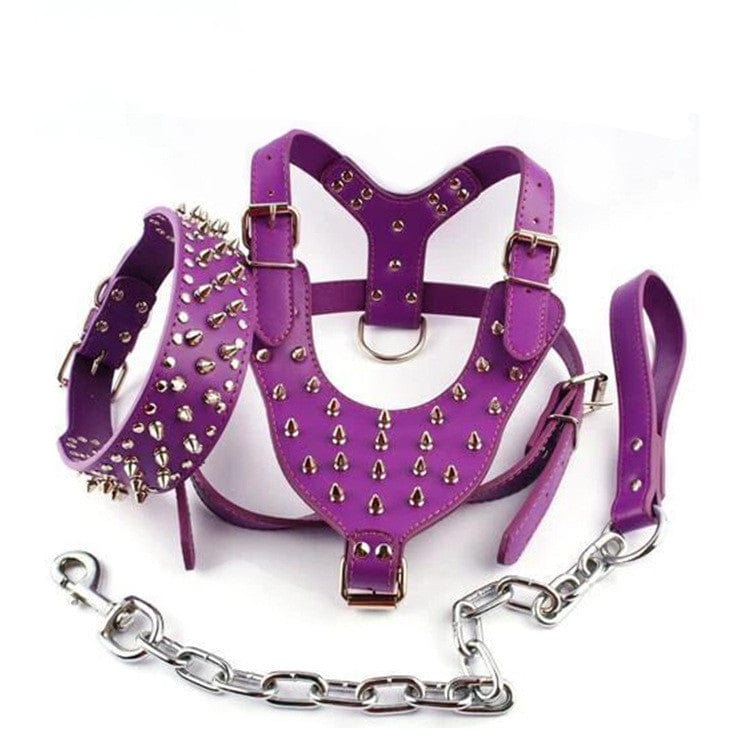 Dogs and Cats Boutique 11 Purple / XS Rivet Bullet Chest Strap Type Tow Rope Collar Three-piece Punk Dog Supplies Dog Leash Pet Supplies (To Get Done)