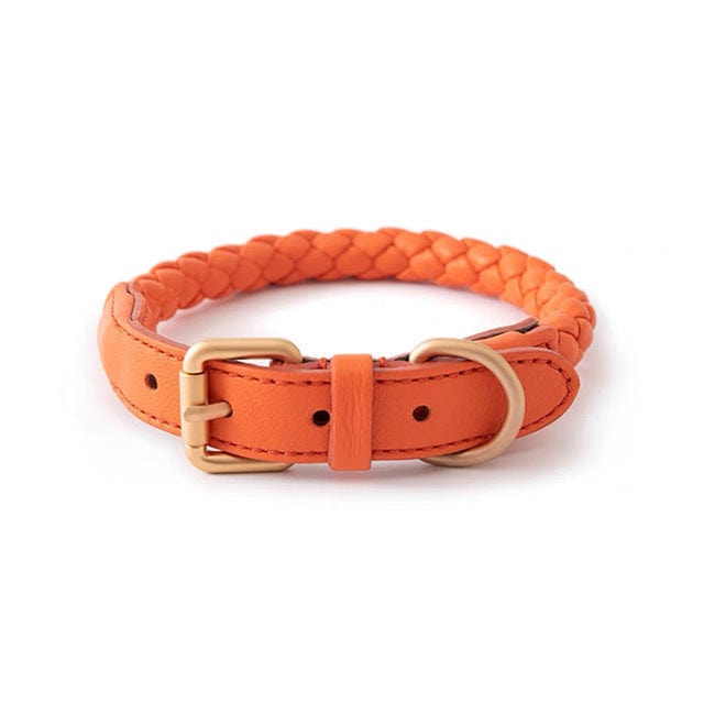 Dogs and Cats Boutique 12 Amber orange / L High-end Large Dog Collar Sturdy Netflix Ke Foundation Hair Pet (To Get Done)
