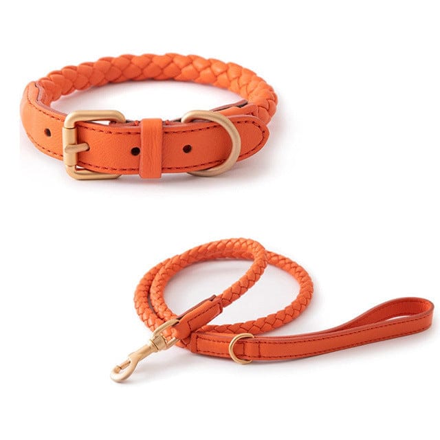 Dogs and Cats Boutique 12 Amber orange Set / L High-end Large Dog Collar Sturdy Netflix Ke Foundation Hair Pet (To Get Done)
