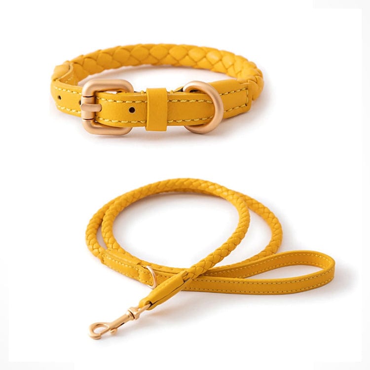 Dogs and Cats Boutique 12 Daylight Yellow Set / L High-end Large Dog Collar Sturdy Netflix Ke Foundation Hair Pet (To Get Done)