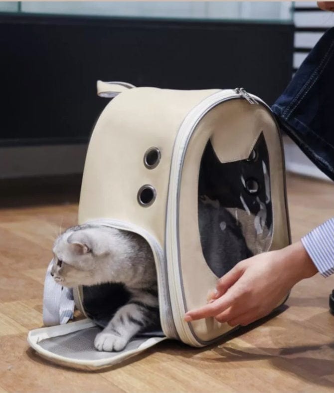 Dogs and Cats Boutique 13 Stylish Cat Travel Backpack