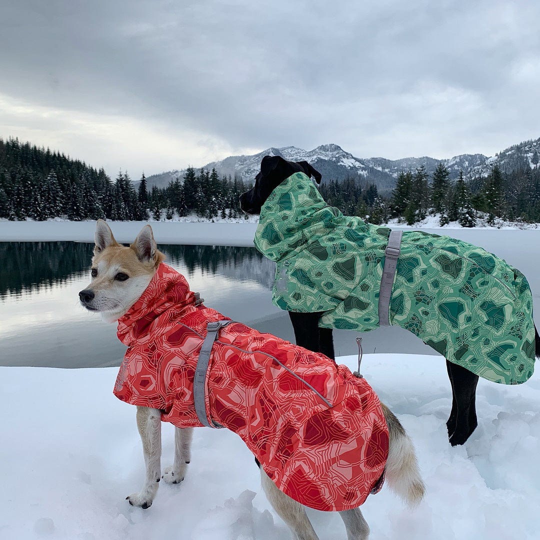 Dogs and Cats Boutique 5 Orange red / 2XL Autumn And Winter Quilted Snow Warm Dog Ski Suit (To Get Done)