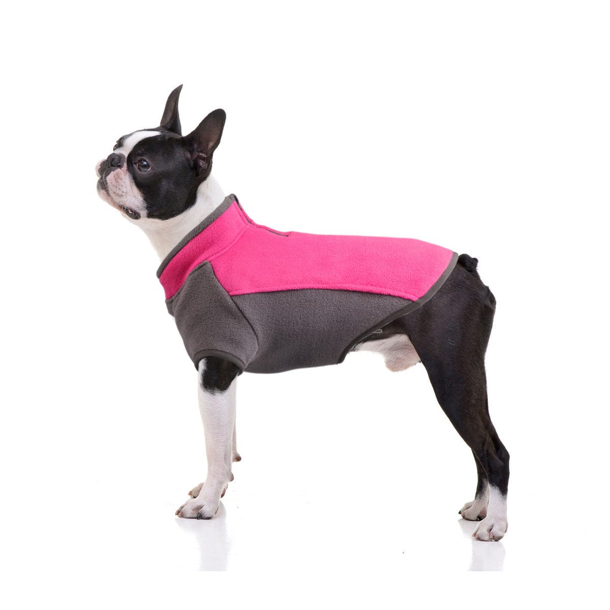 Dogs and Cats Boutique 5 Pink / L Dog Clothes Autumn And Winter Thickened Warmth Stretch (To Get Done)