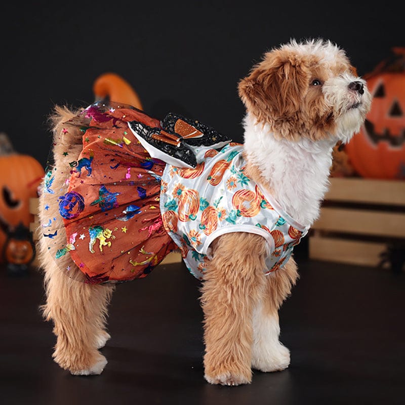 Dogs and Cats Boutique 6 Orange / L Dog Halloween Dress