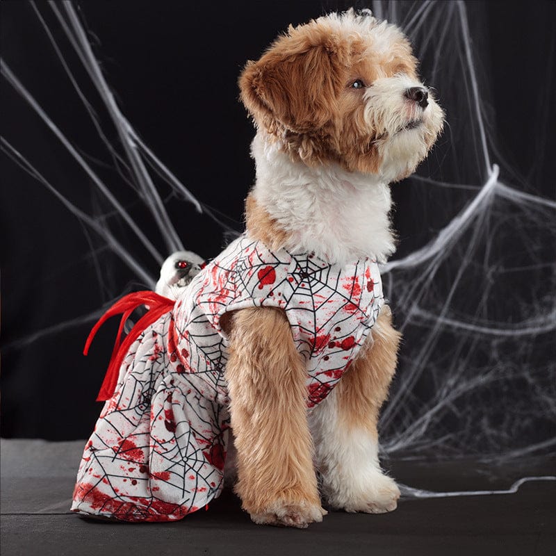 Dogs and Cats Boutique 6 Skirt / L Spider Halloween Dog Costume