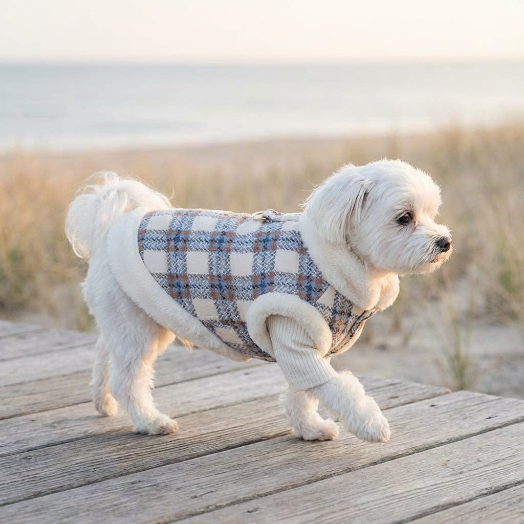 Dogs and Cats Boutique fall-winter-coats Button Up Dog Winter Coat