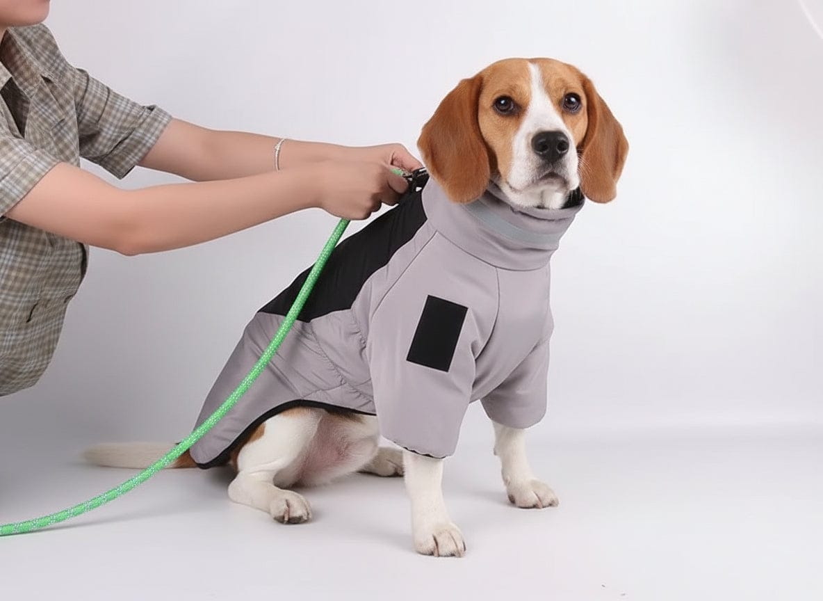 Dogs and Cats Boutique fall-winter-coats Reflective Dog Winter Jacket