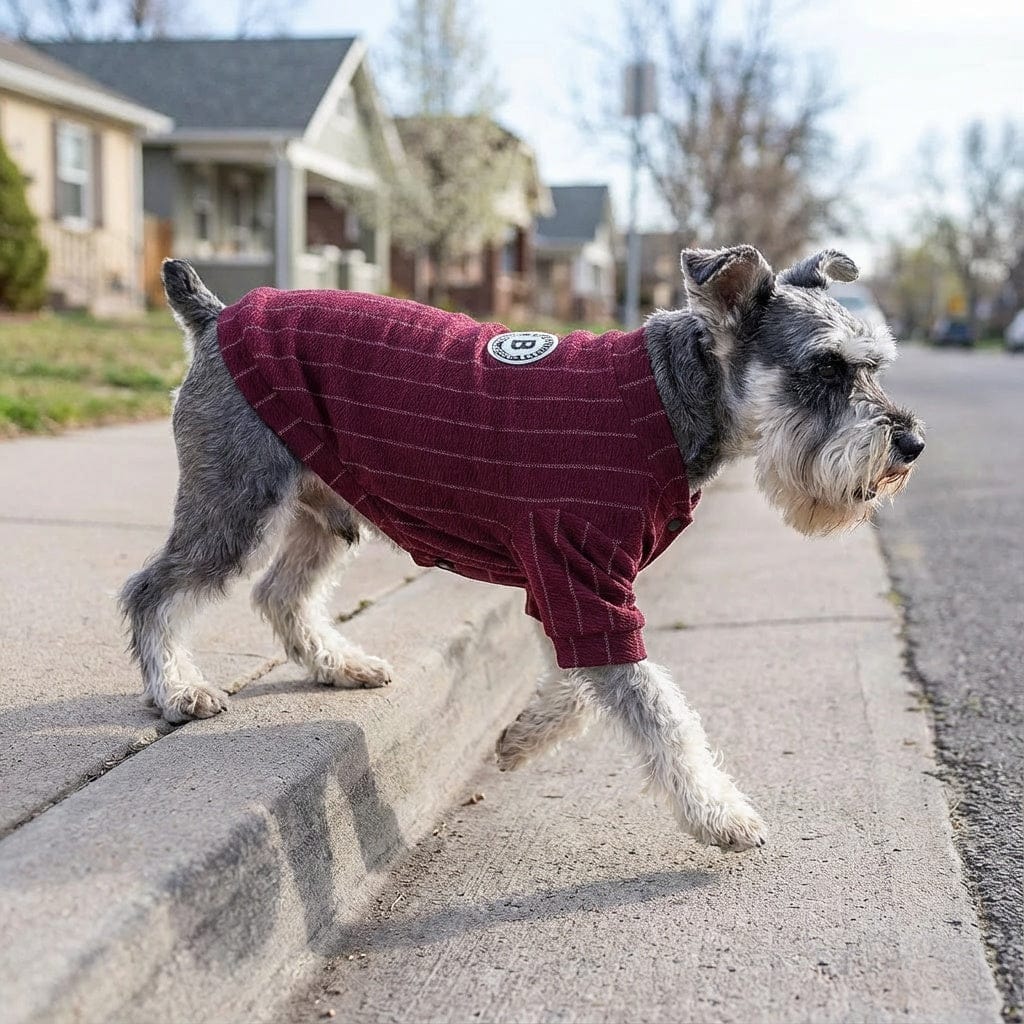 Dogs and Cats Boutique fall-winter-sweaters Wine Red / S Striped Baseball Dog Jacket
