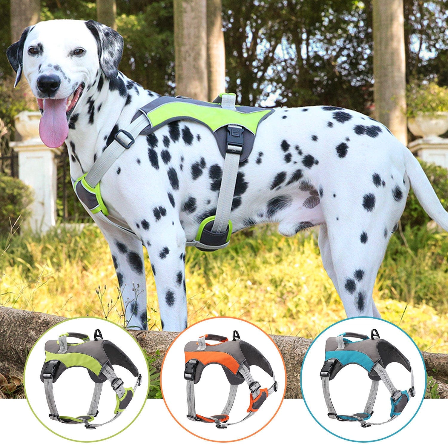 Dogs and Cats Boutique harnesses ActiveGuard Dog Harness