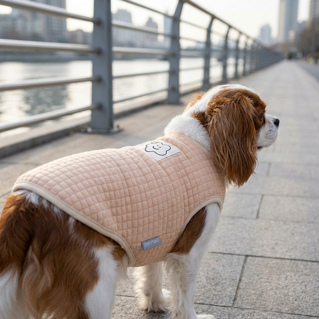 Always Cloudy Velvet Dog Vest Sweater