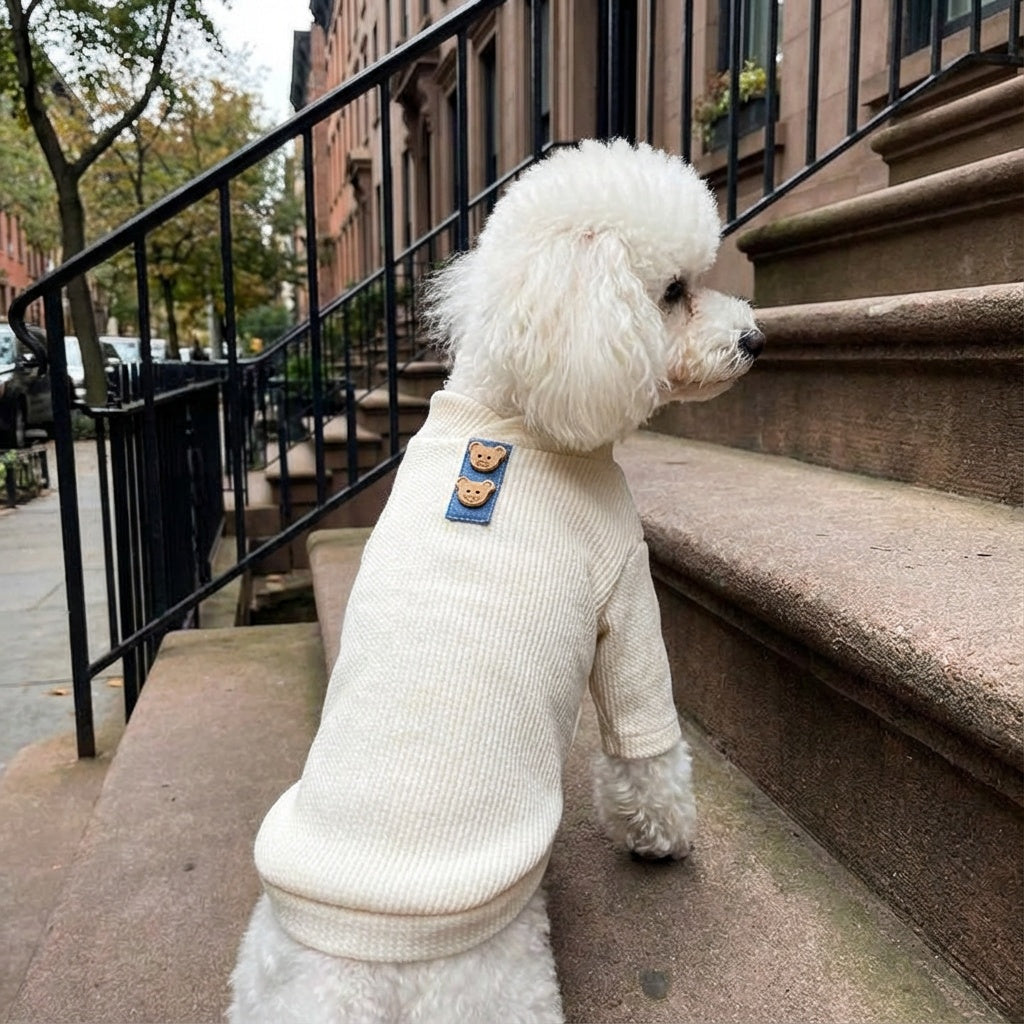 Always Ready Two-legged Dog Sweater