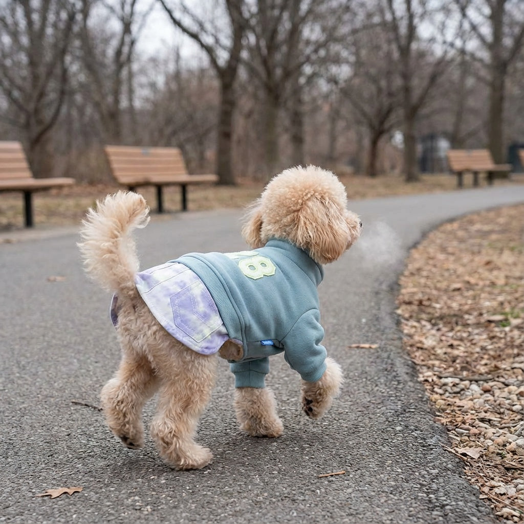 Number 28 Button Up Winter Dog Sweater