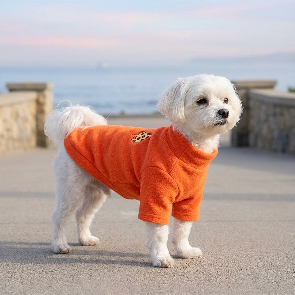 Restaurant Desires Dog Sweater