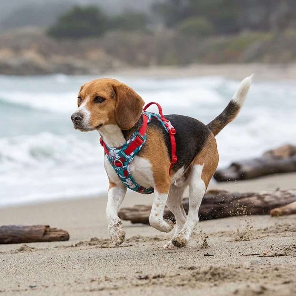 Dog on a beach with ocean waves and driftwood in the background