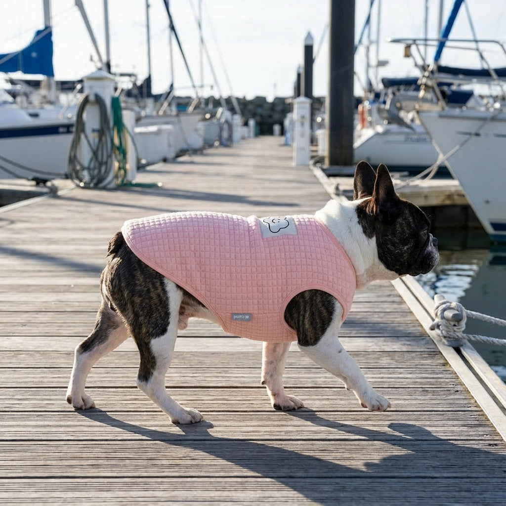 Always Cloudy Velvet Dog Vest Sweater