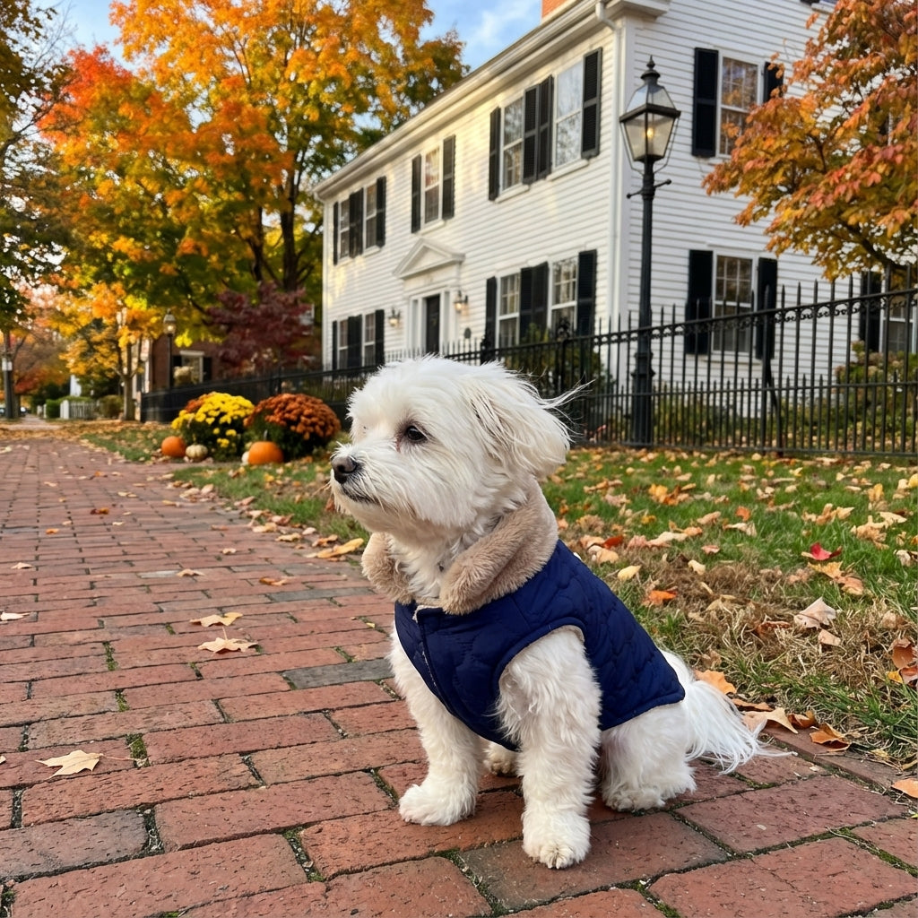 All-Weather Fur-Lined Dog Jacket