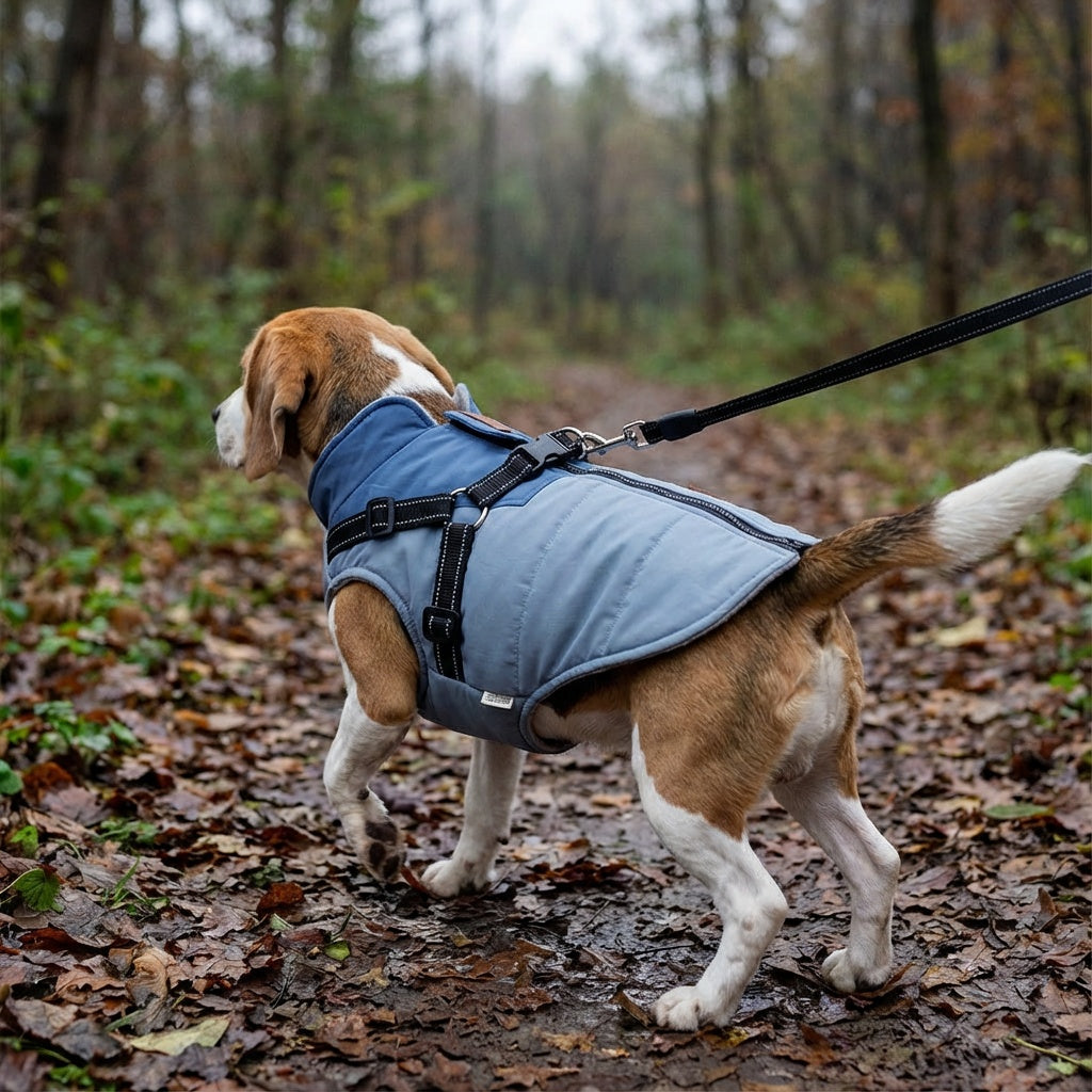 Dog Jacket with Harness