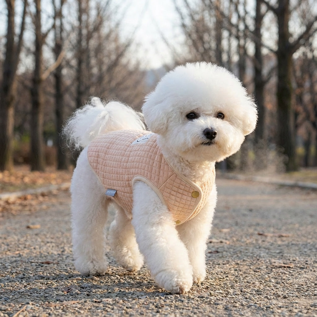 Always Cloudy Velvet Dog Vest Sweater