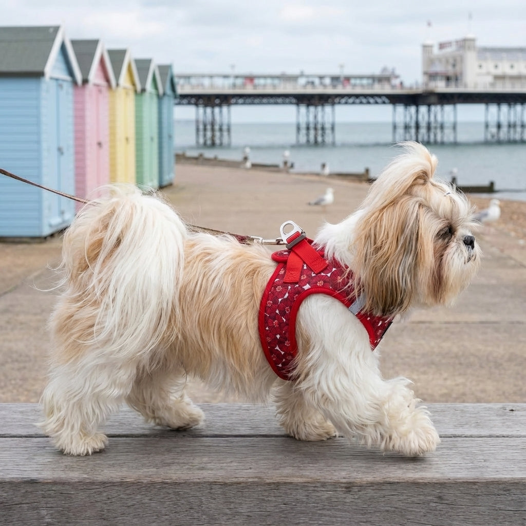 SnuggleFit Teddy Dog Harness