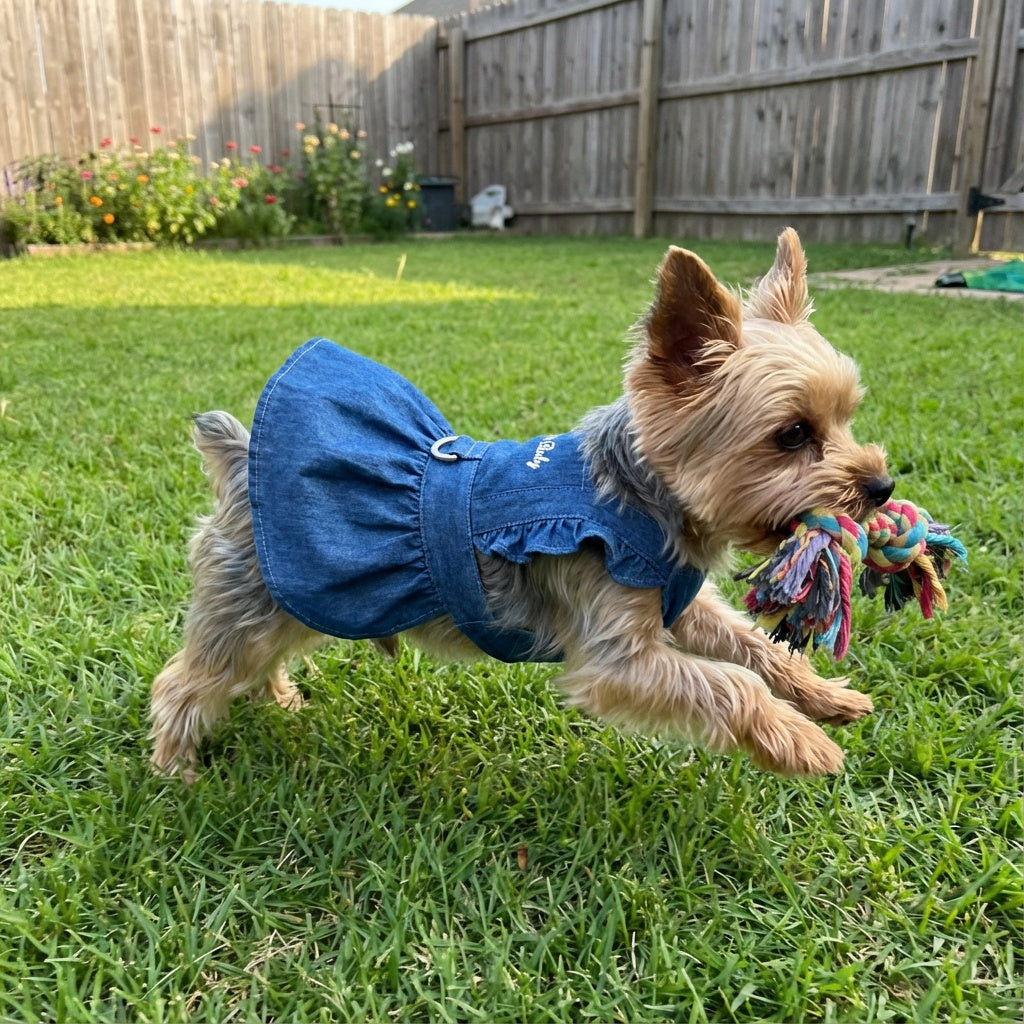 Denim Dog Dress Harness