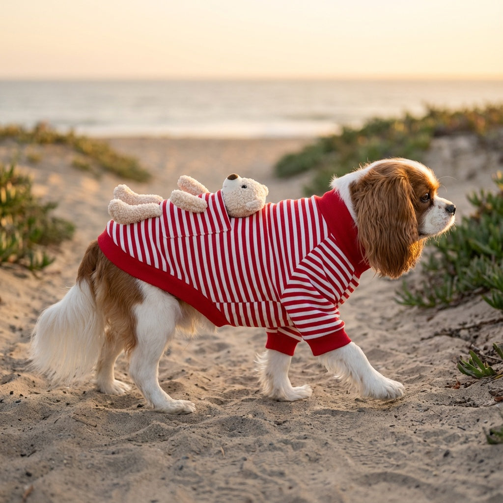 My Teddy Bear Small Dog Sweater