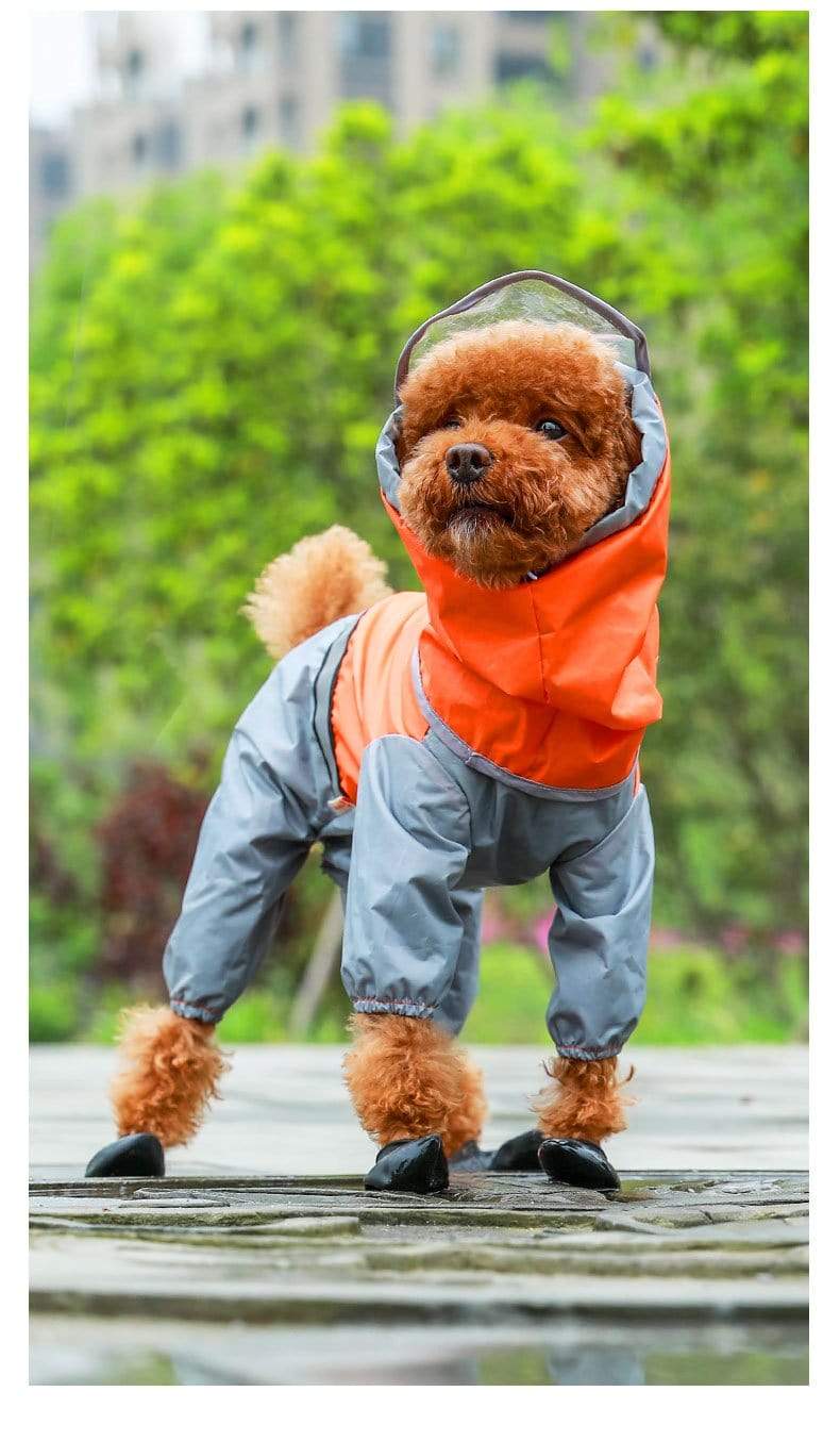 Dogs and Cats Boutique 1 Orange Grey / 4XL Full Body Dog Raincoat