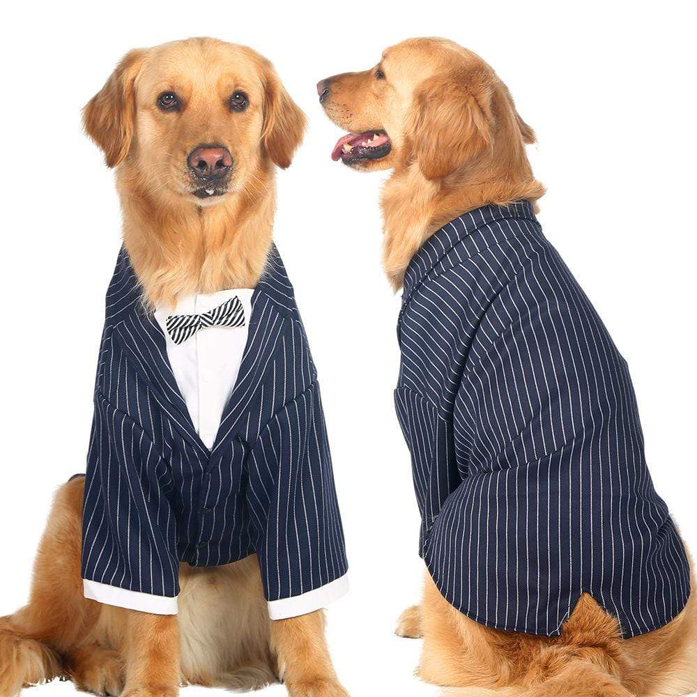 Dogs and Cats Boutique 1 Stripe / 7XL Gentle-Dog Striped Suit
