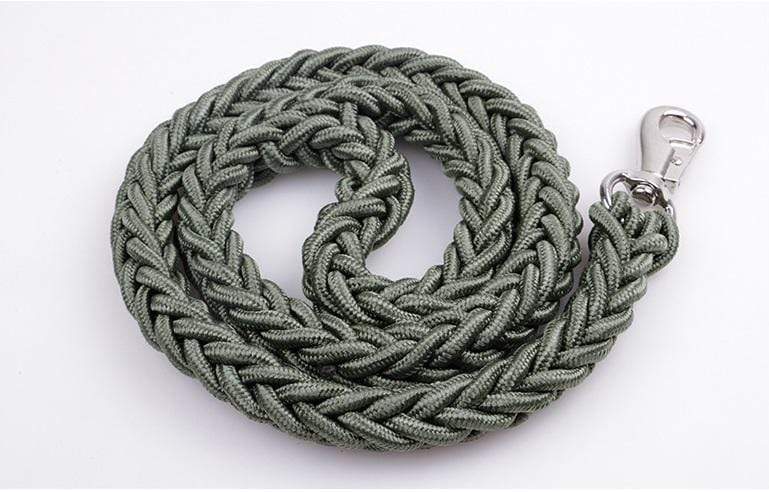 Dogs and Cats Boutique 10 Heavy Duty Metal Clasp Braided Dog Leash