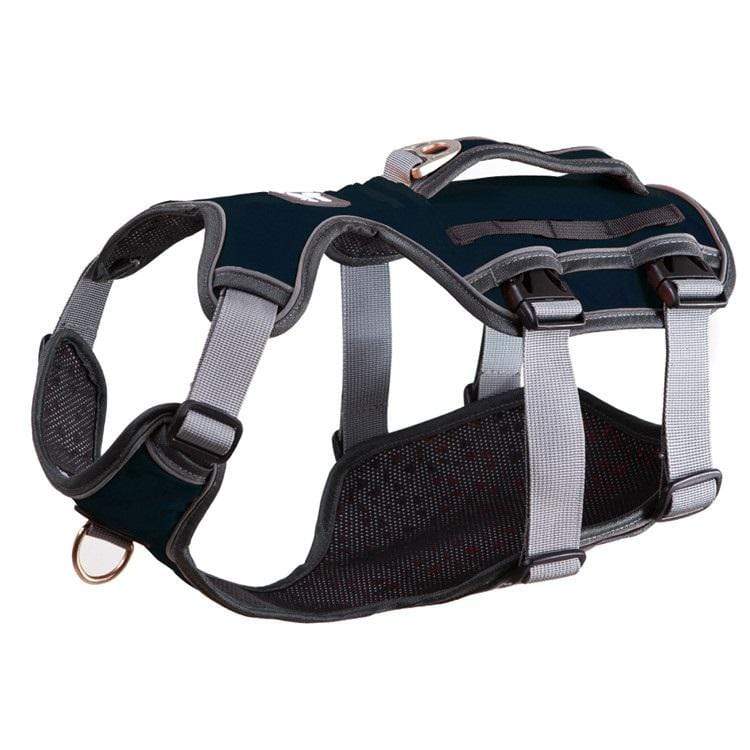 Dogs and Cats Boutique 11 Black / M Dog Thoracolumbar Harness