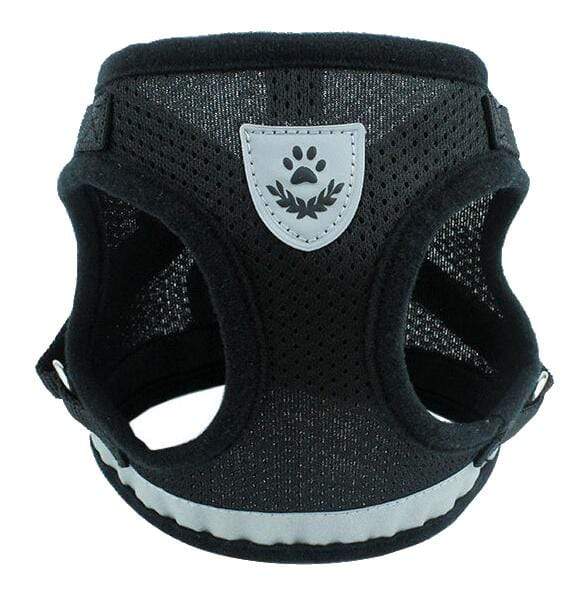 Dogs and Cats Boutique 11 Black / S Dog Harness Leash Set