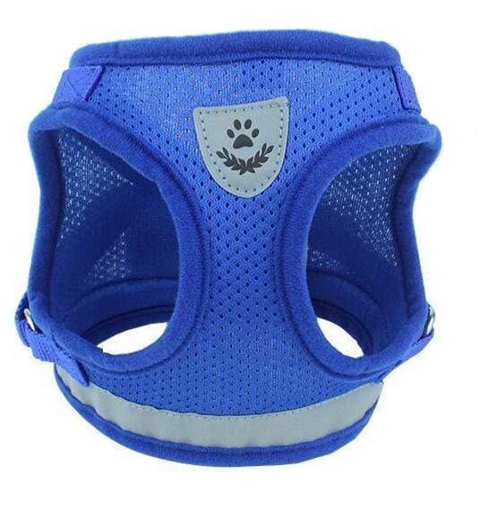 Dogs and Cats Boutique 11 Blue / M Dog Harness Leash Set