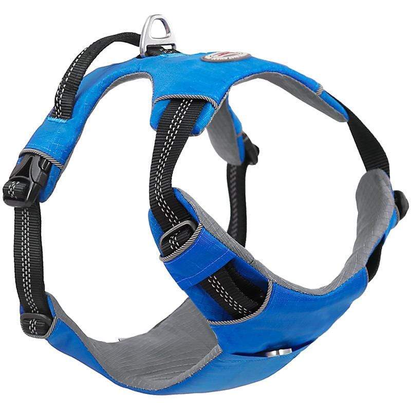 Dogs and Cats Boutique 11 Blue / M Explosion-proof Do Walking Harness