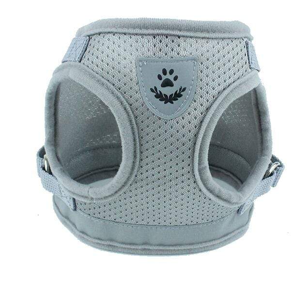 Dogs and Cats Boutique 11 Gray / S Dog Harness Leash Set