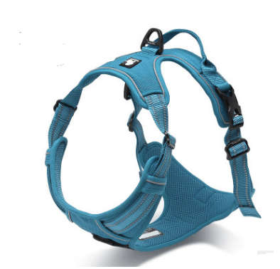 Dogs and Cats Boutique 11 Light Blue / XS Comfortable Safety Harness for Dogs