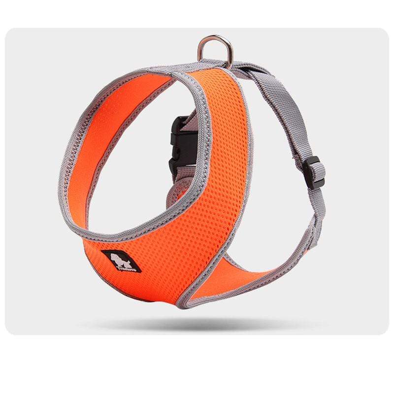 Dogs and Cats Boutique 11 Orange / S Breathable Dog Adjustable Harness
