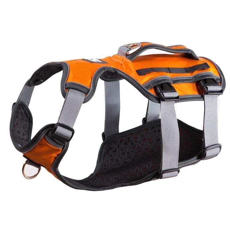 Dogs and Cats Boutique 11 Orange / S Dog Thoracolumbar Harness