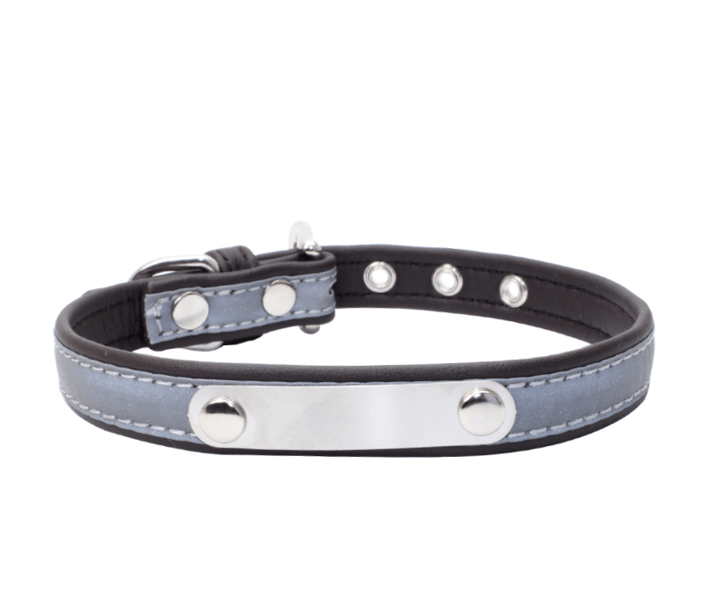 Dogs and Cats Boutique 12 Black / XS Dog Collar with Stainless Steel Nameplate