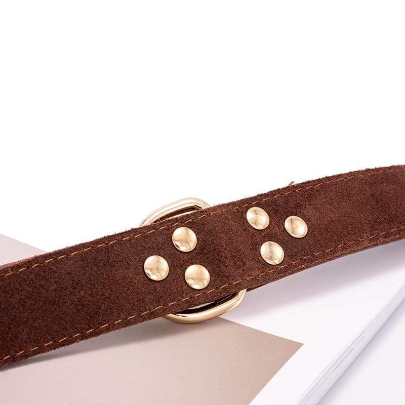 Dogs and Cats Boutique 12 Dog Leather Adjustable Collar