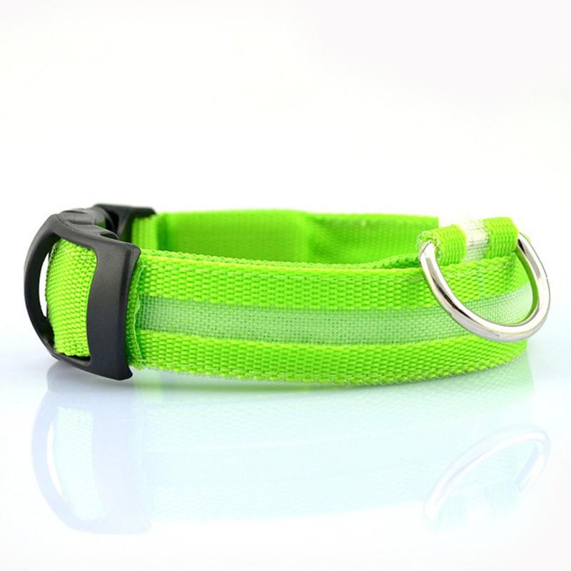 Dogs and Cats Boutique 12 Green / M Rechargeable Flashing Light Collar for Dogs