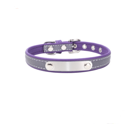 Dogs and Cats Boutique 12 Purple / XS Dog Collar with Stainless Steel Nameplate
