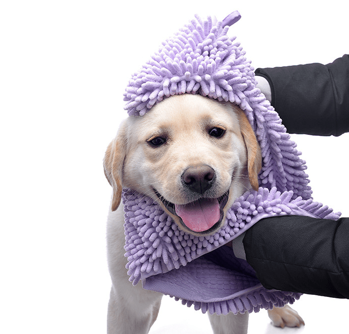 Dogs and Cats Boutique 14 Purple / L Dog & Cat Quick Absorb Bath Towel