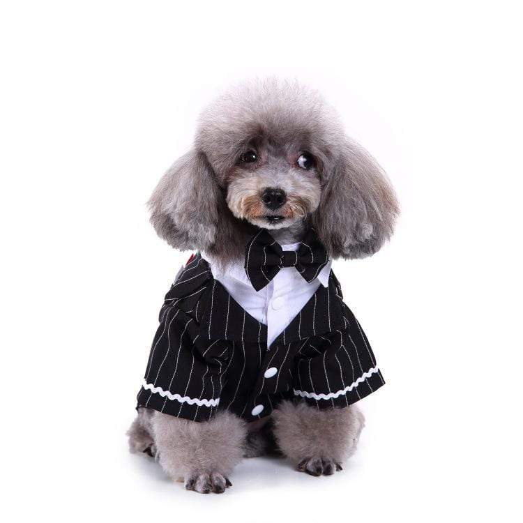 Dogs and Cats Boutique 2 1 style / M Plaid Dog Suit