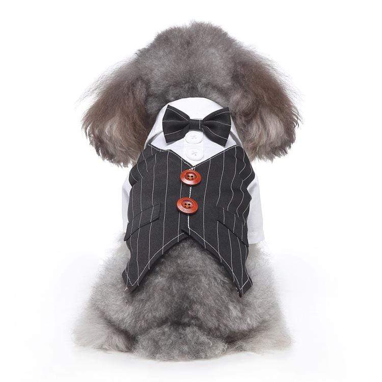 Dogs and Cats Boutique 2 8 style / M Plaid Dog Suit