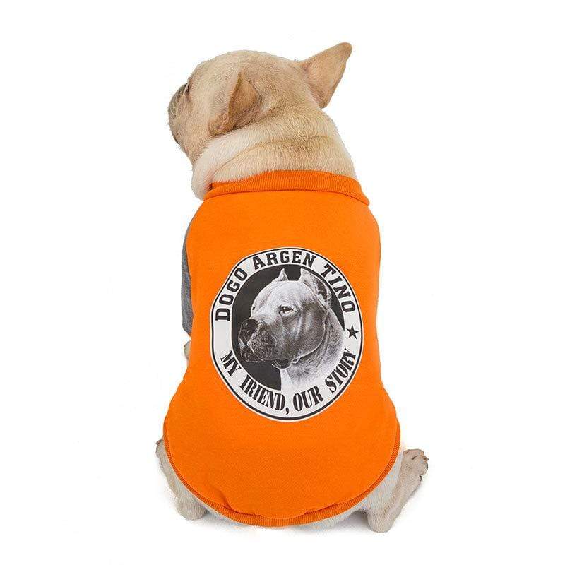 Dogs and Cats Boutique 2 Orange / S Bulldog Cashmere Dog Sweater