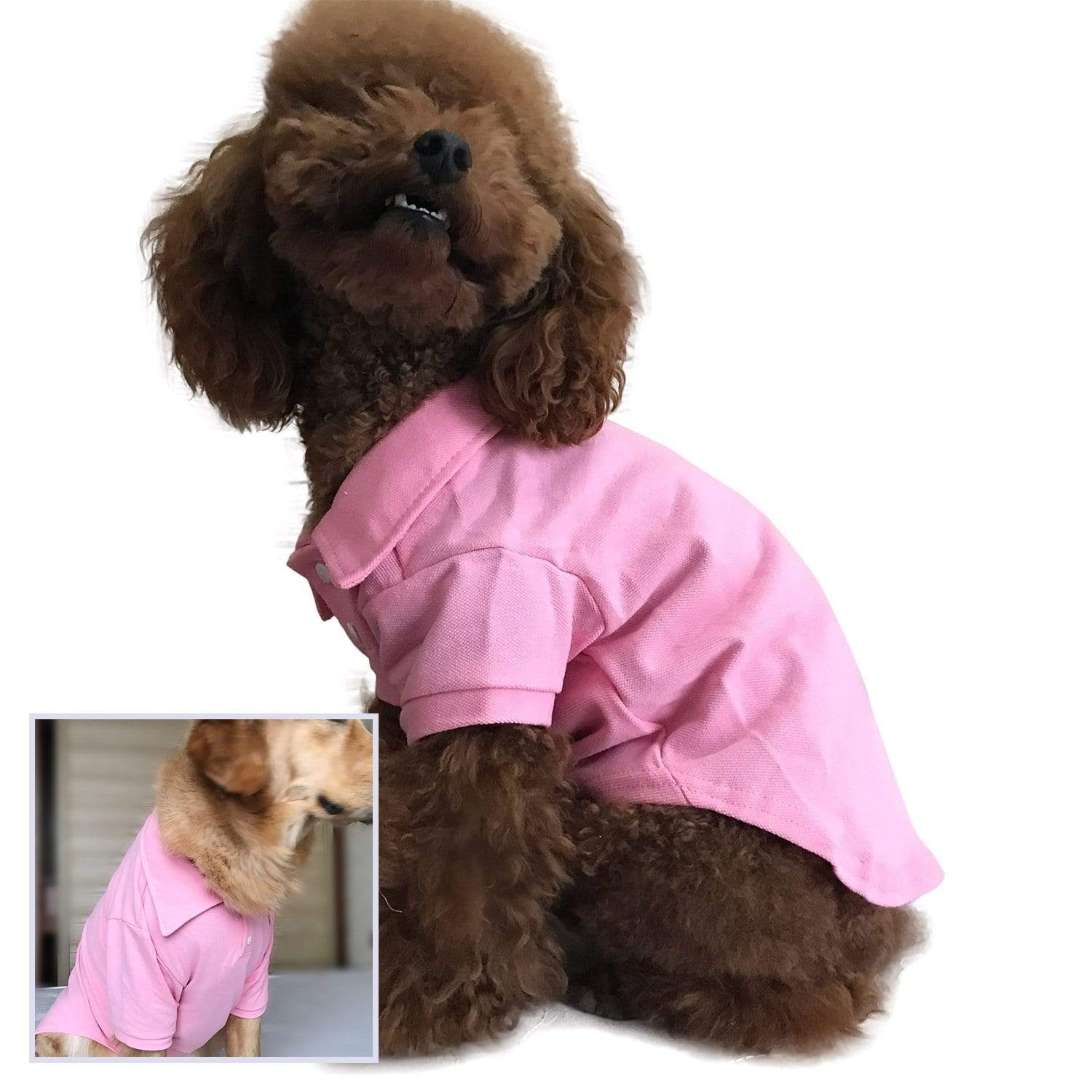 Dogs and Cats Boutique 3 Pink / L Casual Dog Polo Shirt