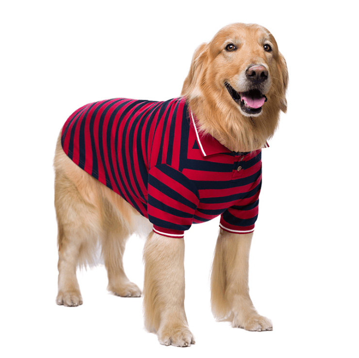 Dogs and Cats Boutique 3 Striped Polo Shirt